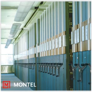 mobilex